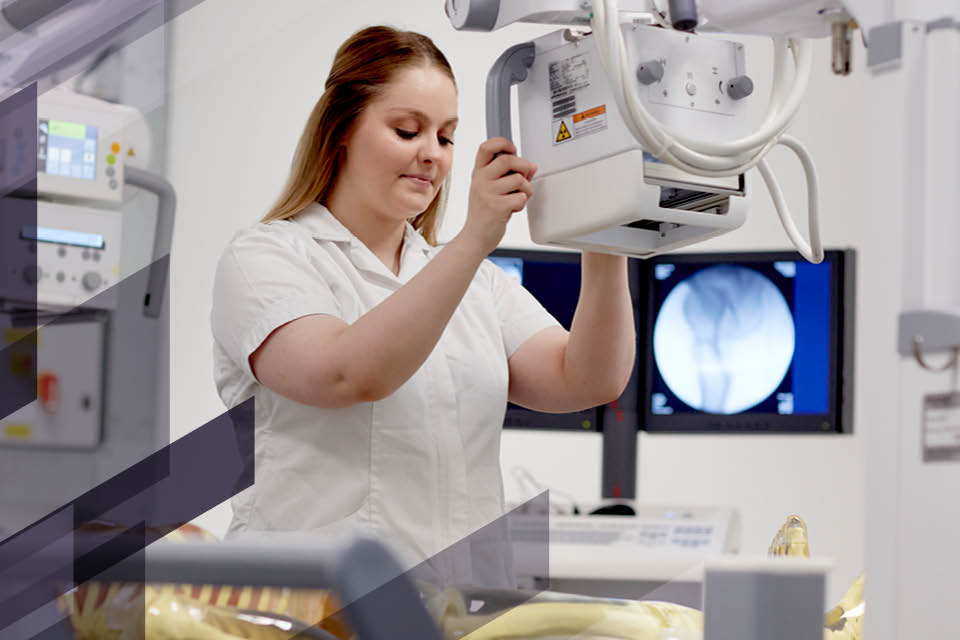 Radiography Apprenticeship Webinar